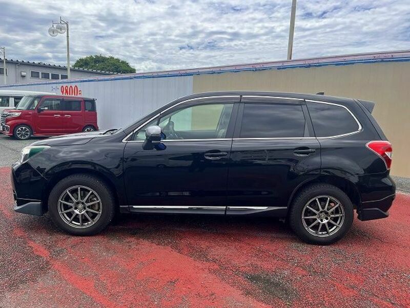 FORESTER