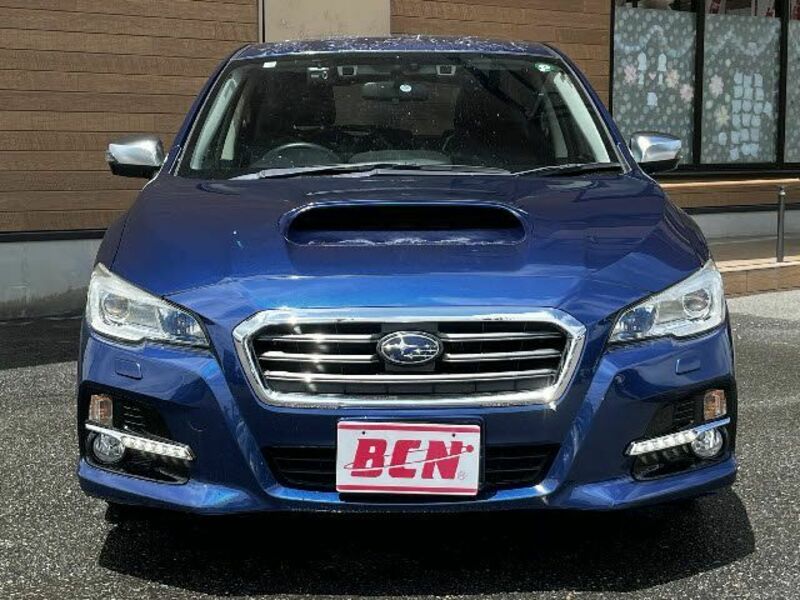 LEVORG