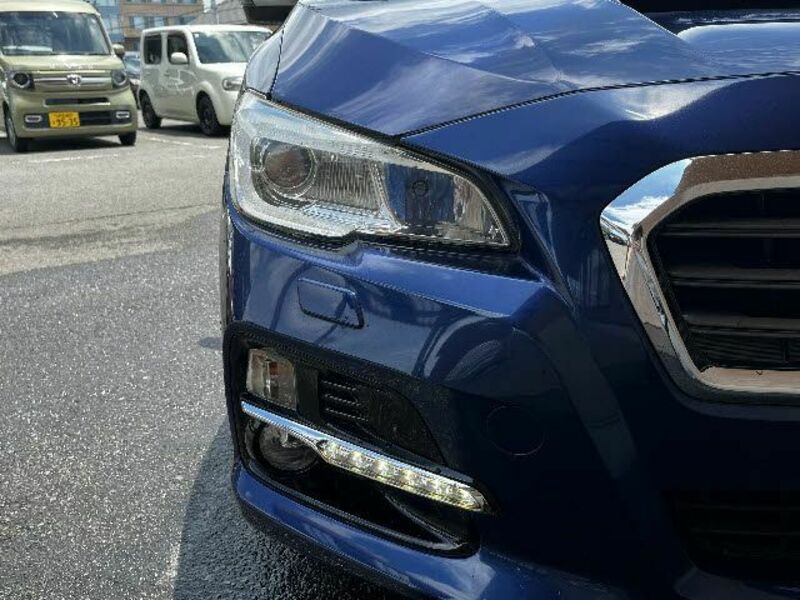 LEVORG