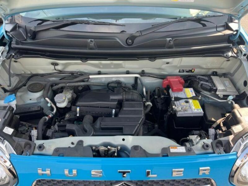 HUSTLER