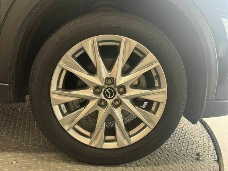 CX-8