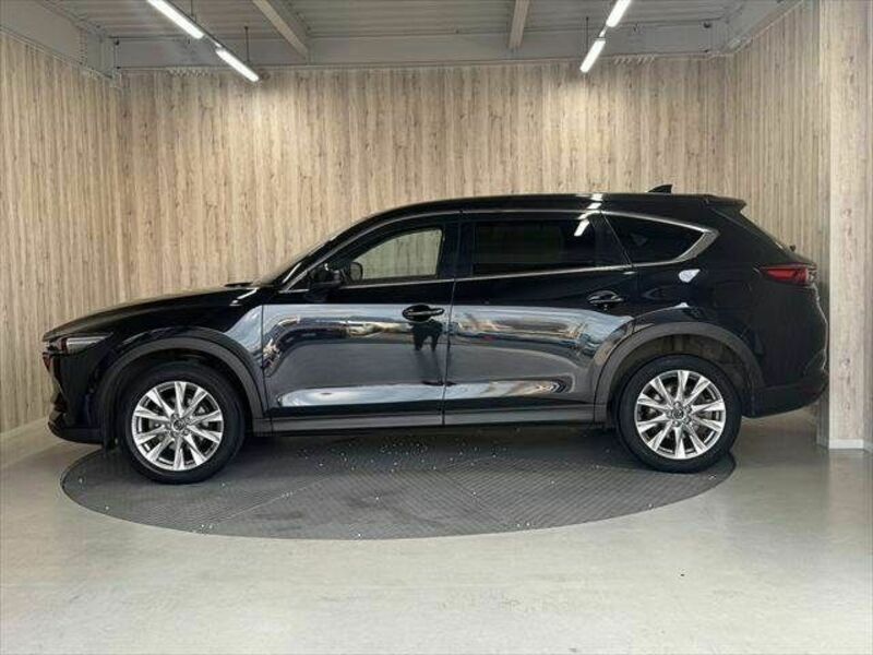 CX-8