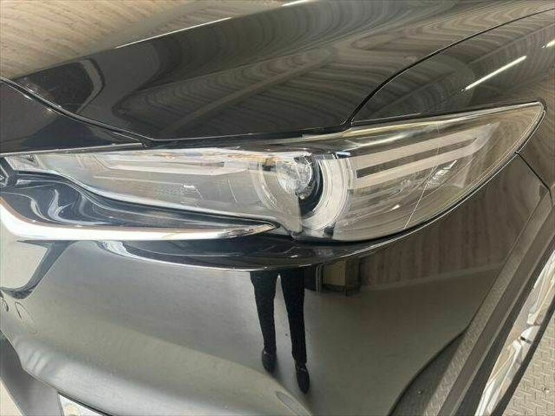 CX-8