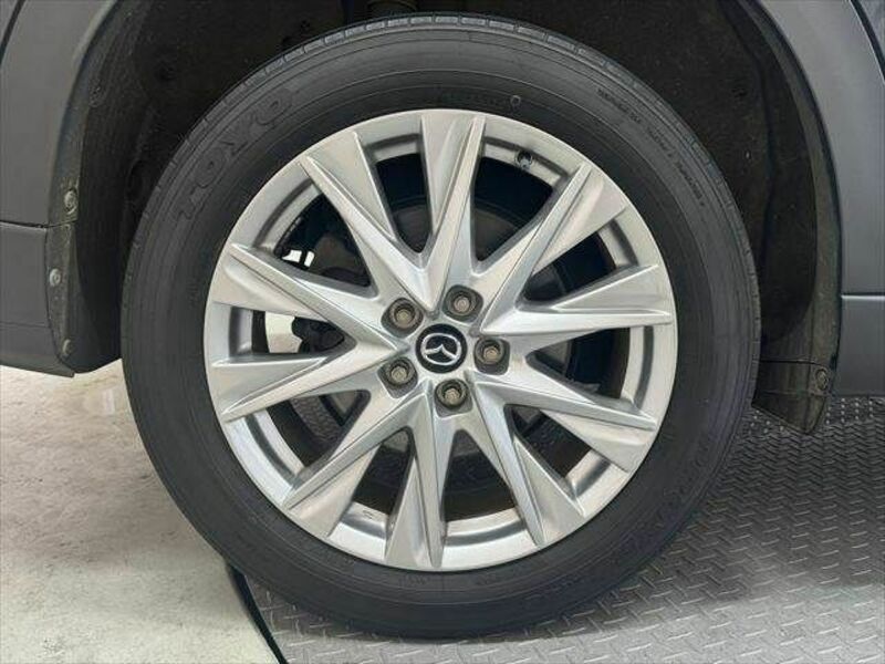 CX-8