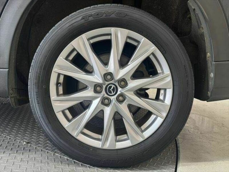 CX-8