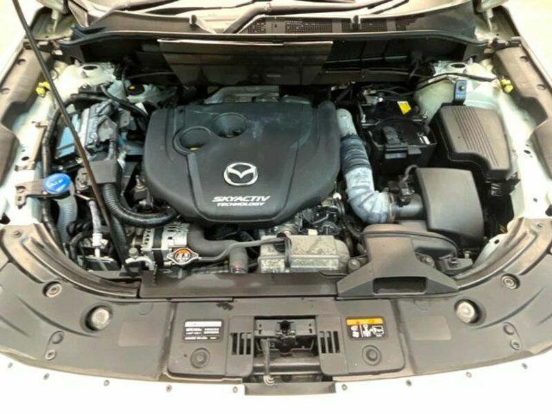 CX-8