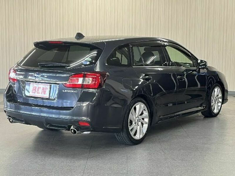 LEVORG