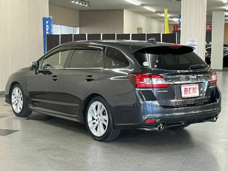 LEVORG