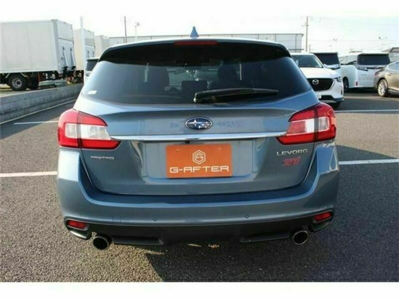 LEVORG