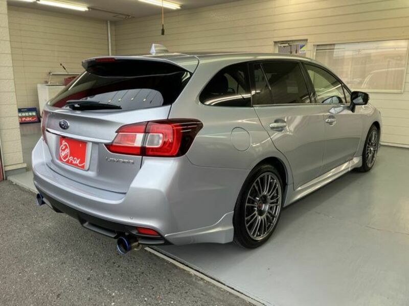LEVORG