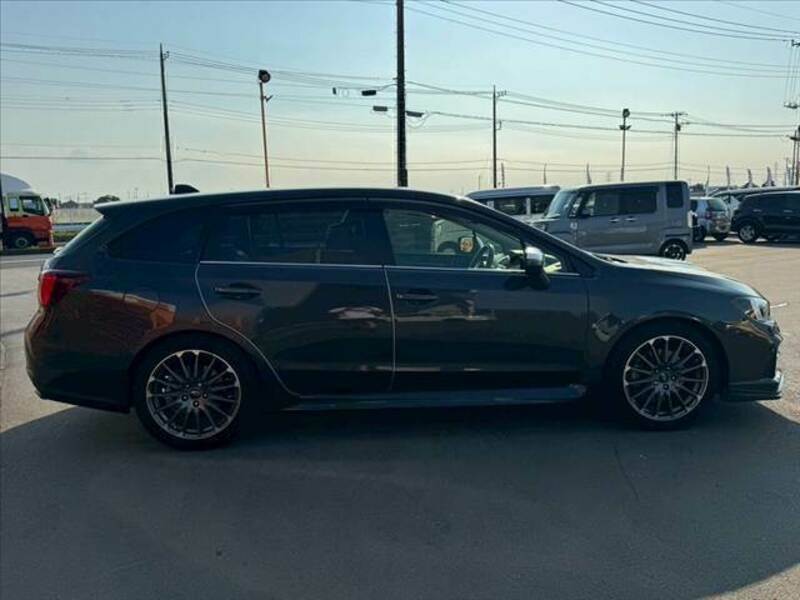 LEVORG
