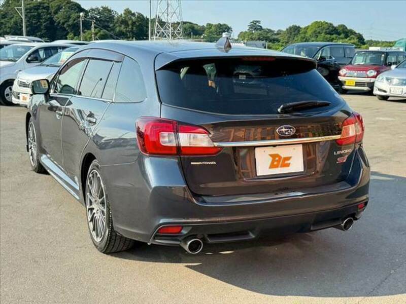 LEVORG