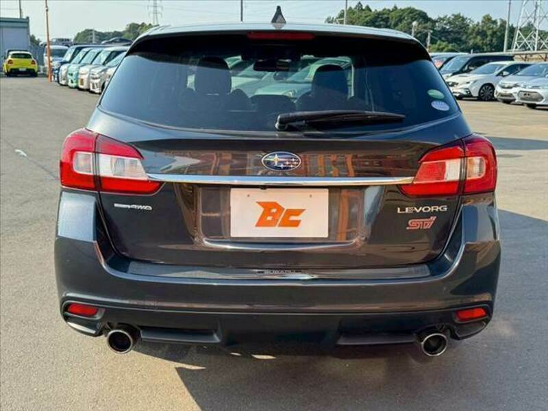 LEVORG