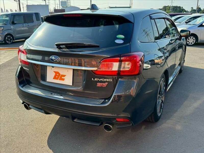 LEVORG