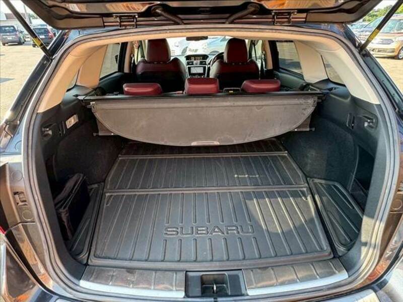 LEVORG