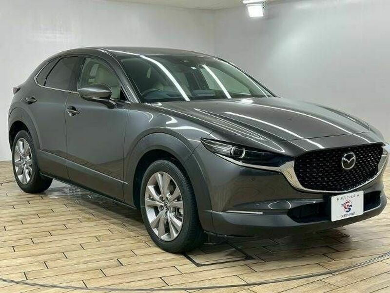 CX-30