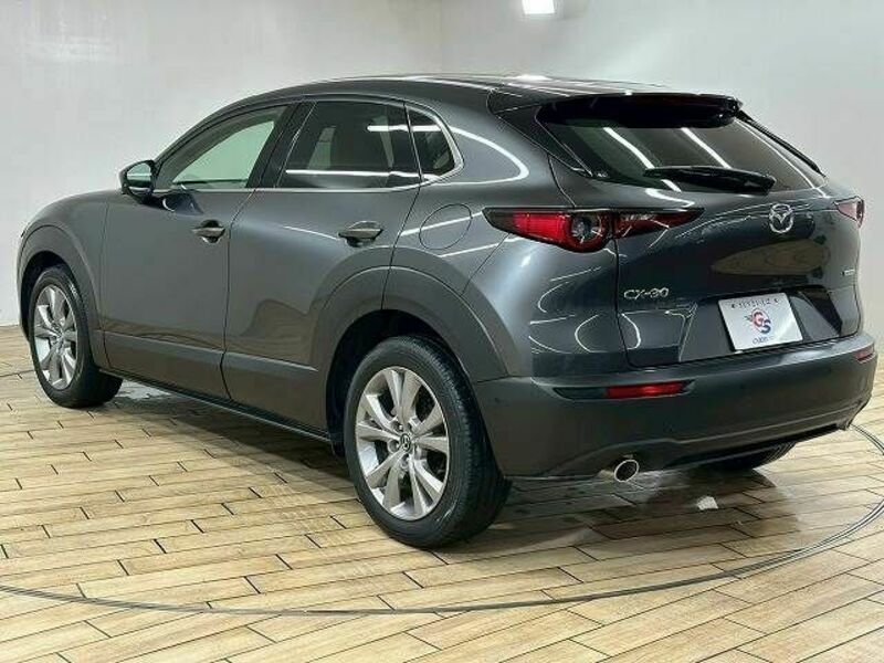 CX-30