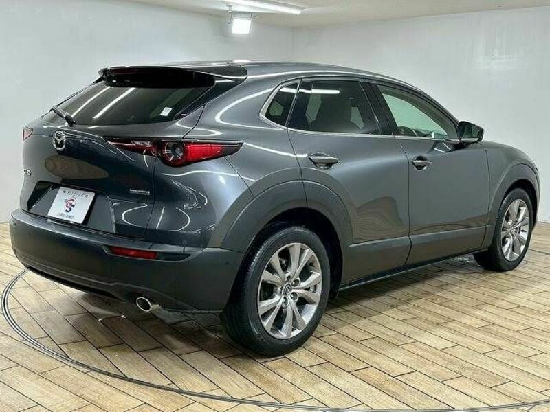 CX-30