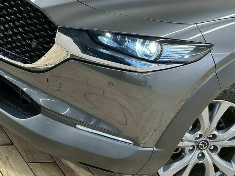 CX-30