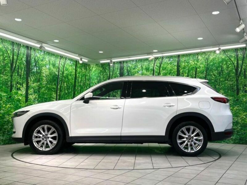 CX-8