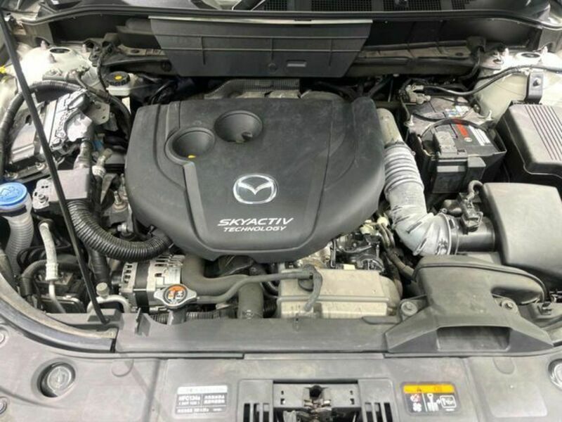 CX-8