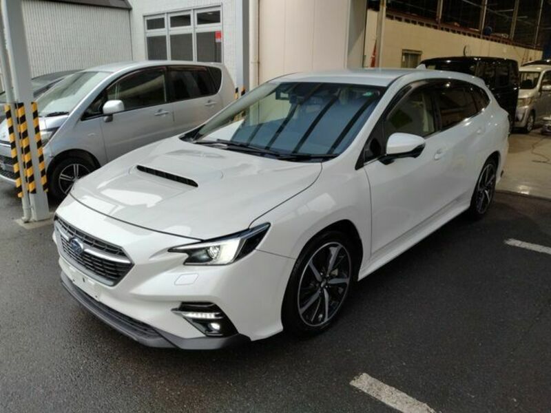 LEVORG-0