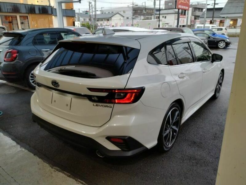 LEVORG