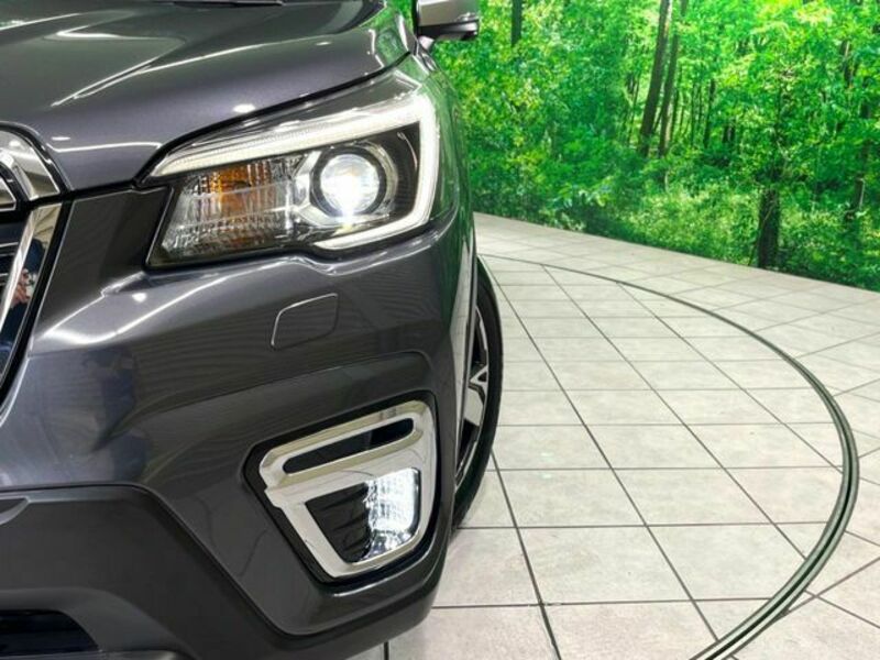 FORESTER