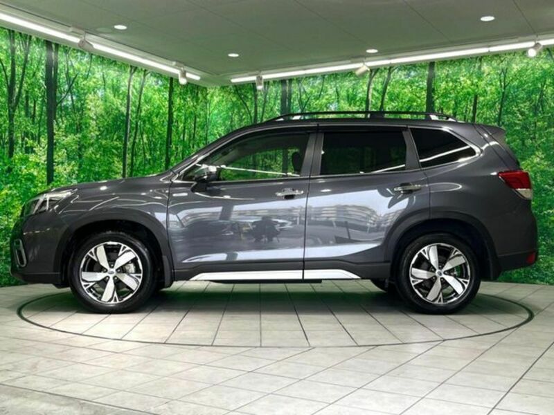 FORESTER