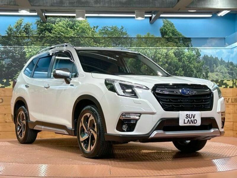 FORESTER