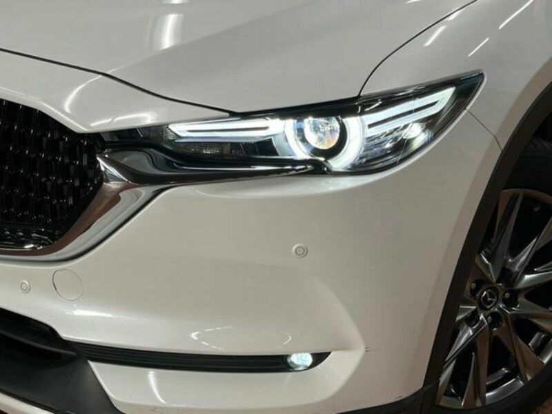 CX-8