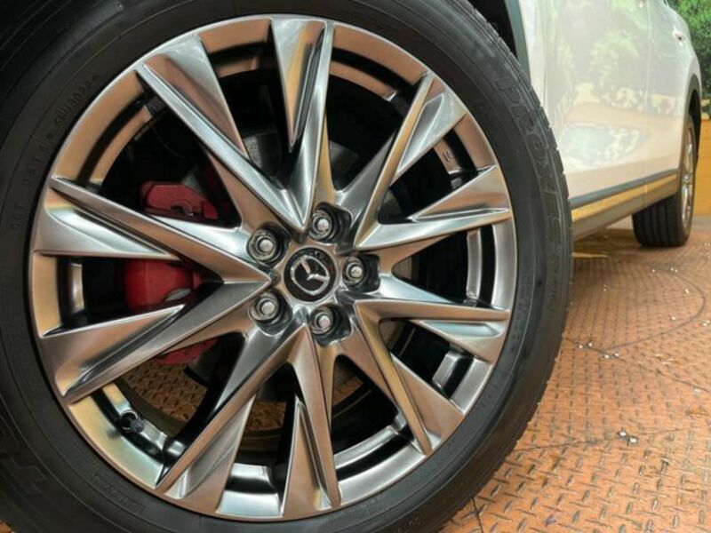CX-8
