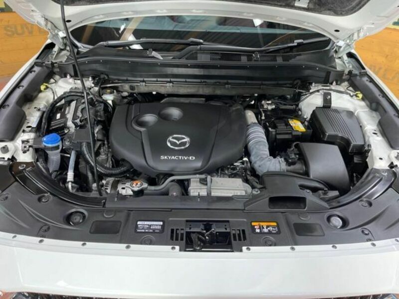 CX-8