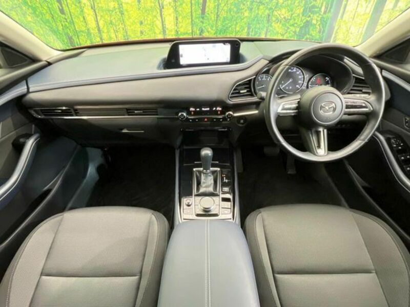 CX-30
