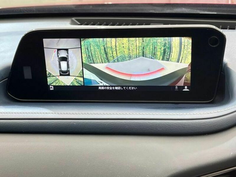 CX-30