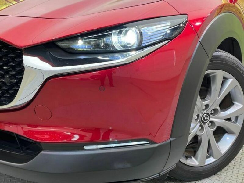 CX-30