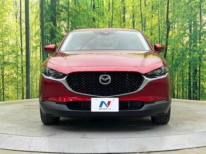 CX-30