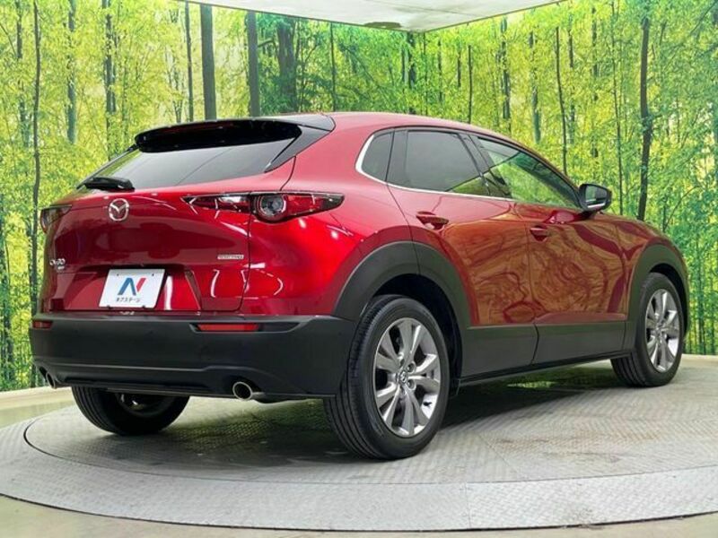 CX-30