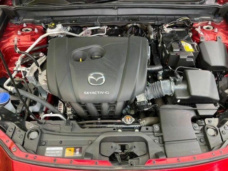 CX-30