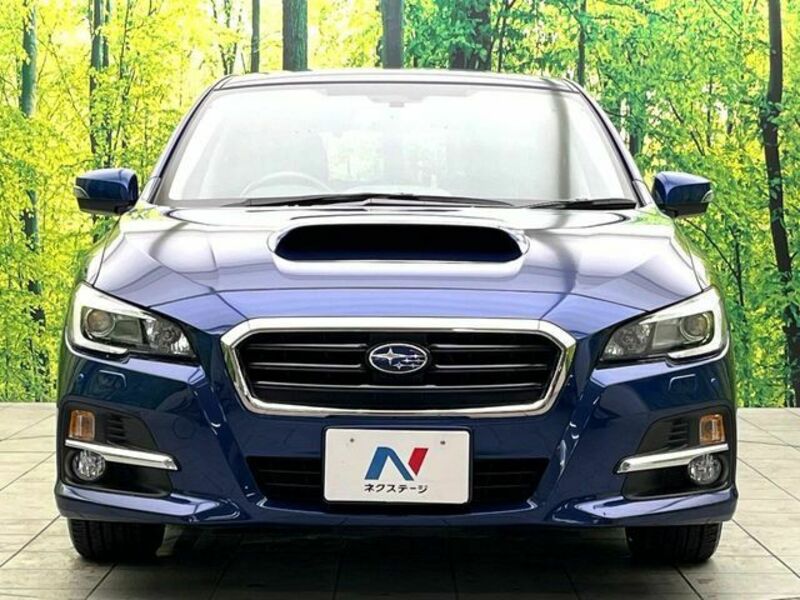LEVORG