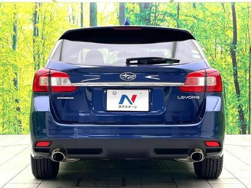 LEVORG