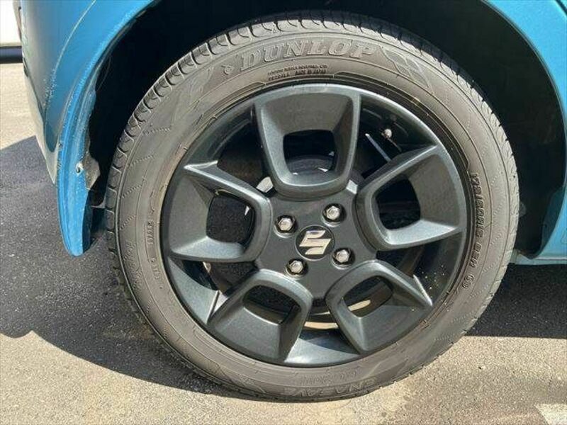IGNIS