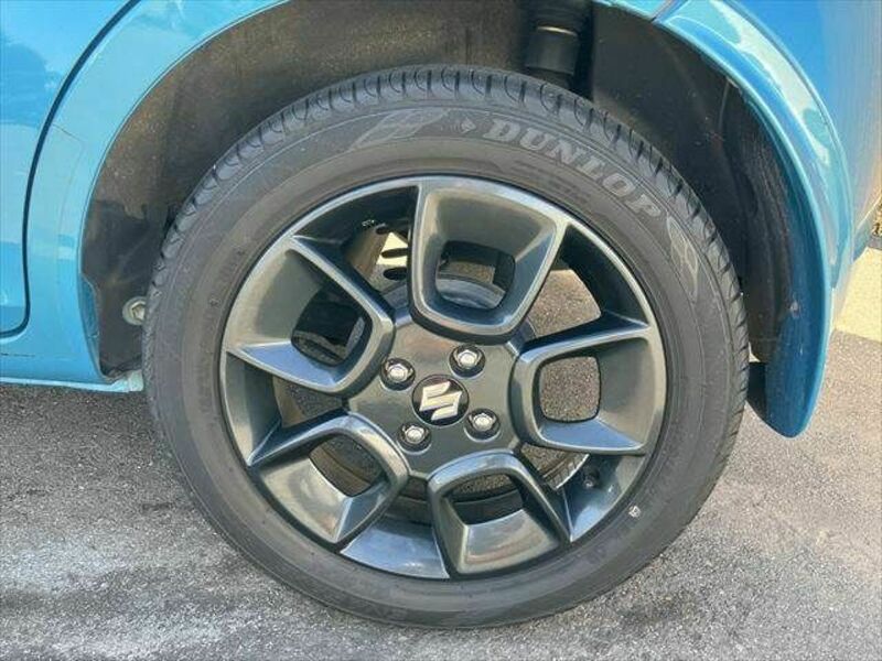 IGNIS