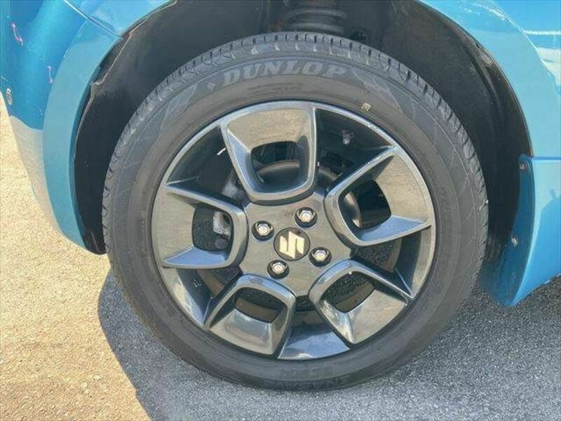 IGNIS