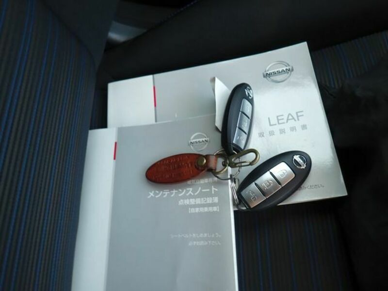 LEAF