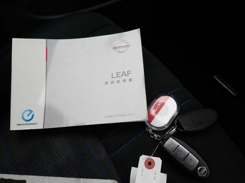 LEAF