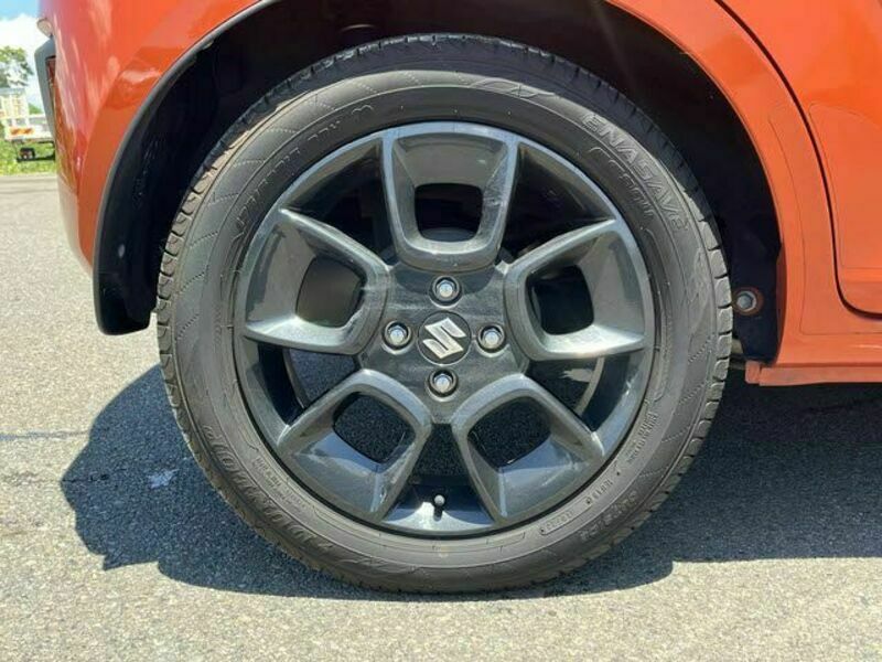 IGNIS