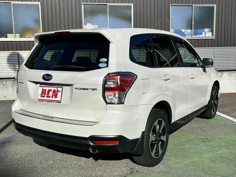 FORESTER