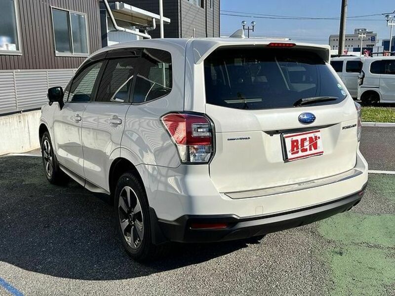 FORESTER