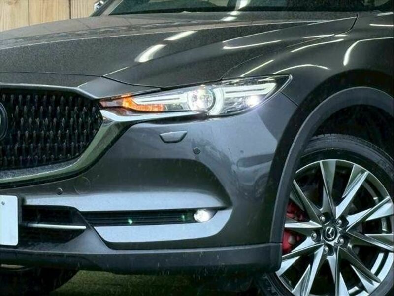 CX-8